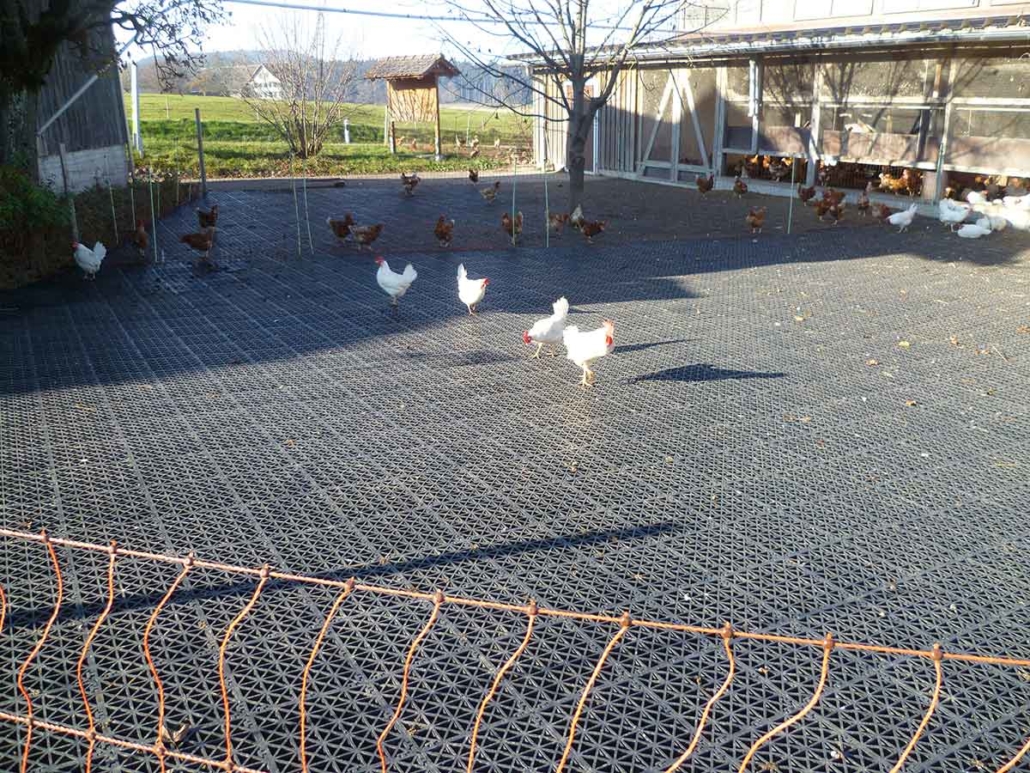 Ecoraster Hühnerstall