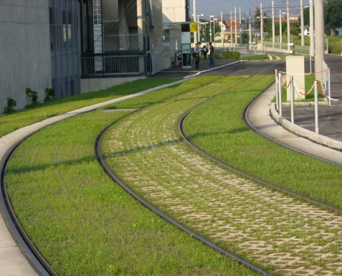 Strassenbahn begrünt